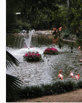 Busch Gardens Bird Pond