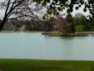 Lake Cecil